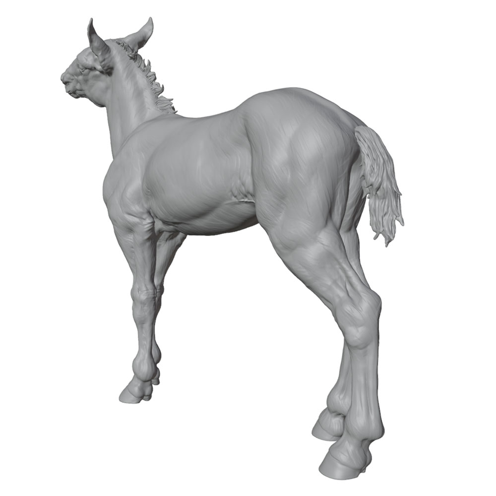 High-Detail Printing, Realisti - огляд і ціна Model Kit Horse